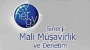 synergy mali müşavirlik ve denetim